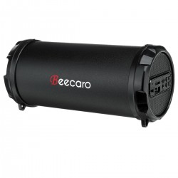 Boxa portabila Beecaro S41B
