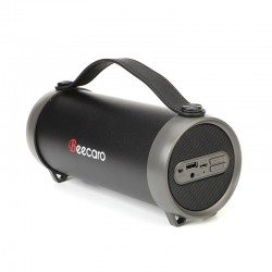 Boxa portabila Beecaro S33D