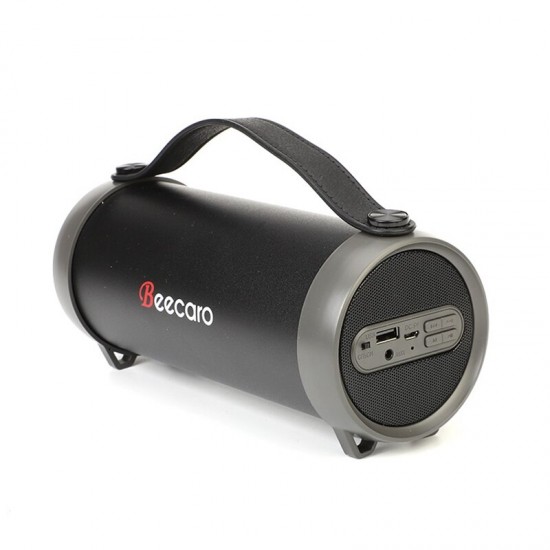 Boxa portabila Beecaro S33D
